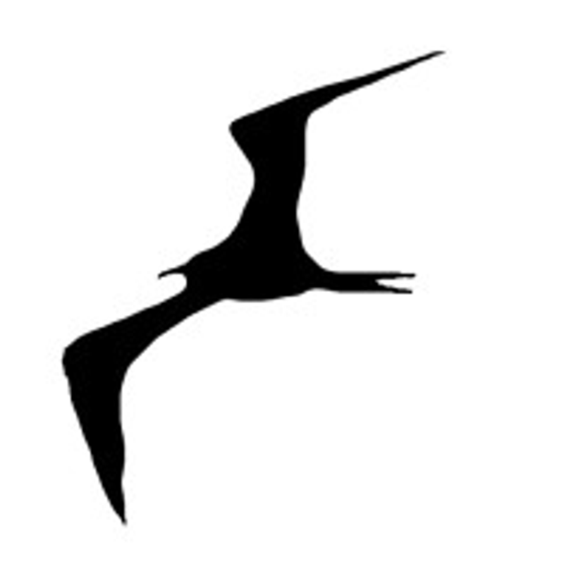 frigate.video-logo.png