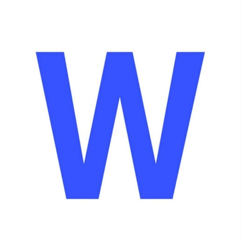 gowinston.ai-logo.png