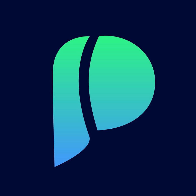 pincel.app-logo.png