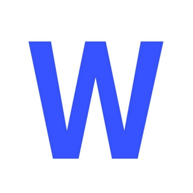 gowinston.ai-logo.png